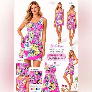 Lilly Pulitzer Multicolor Tie-Dye Dress